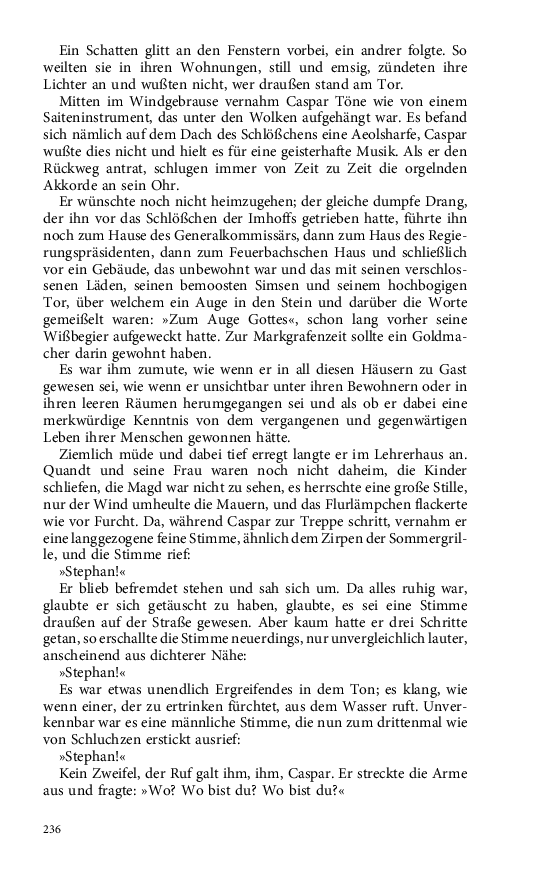 Seite 236
