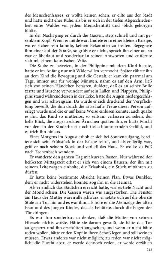 Seite 243