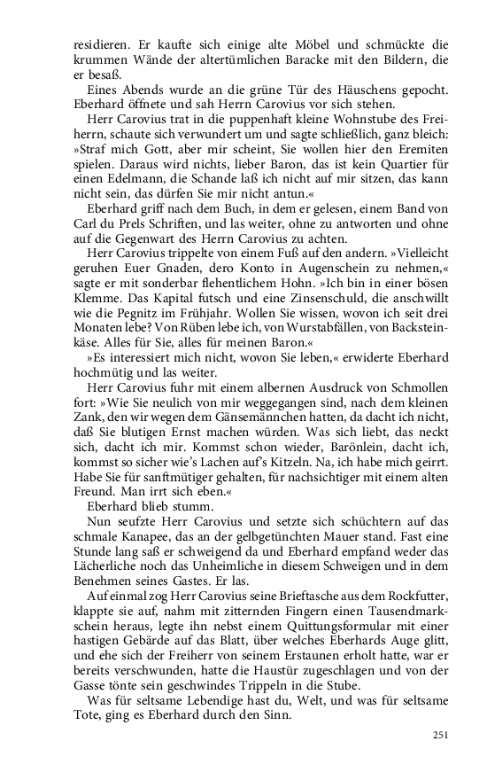 Seite 251