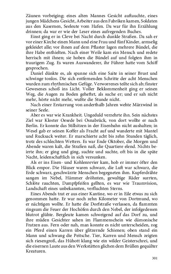 Seite 301