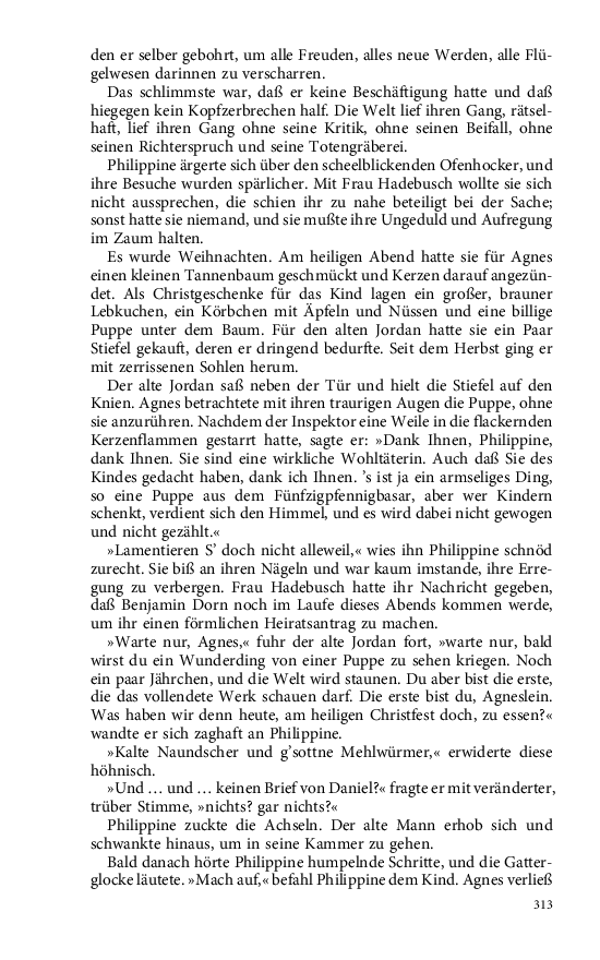 Seite 313