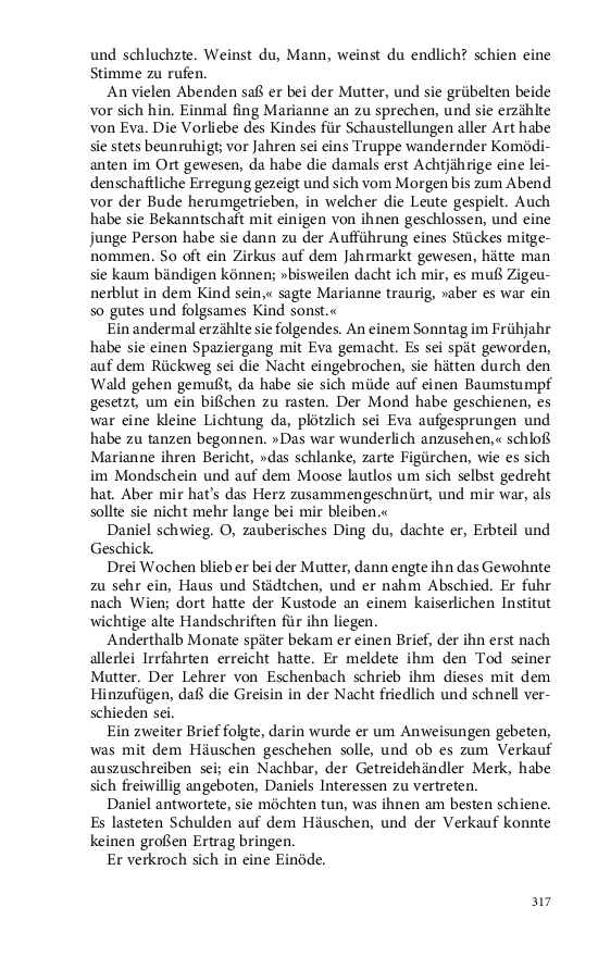 Seite 317