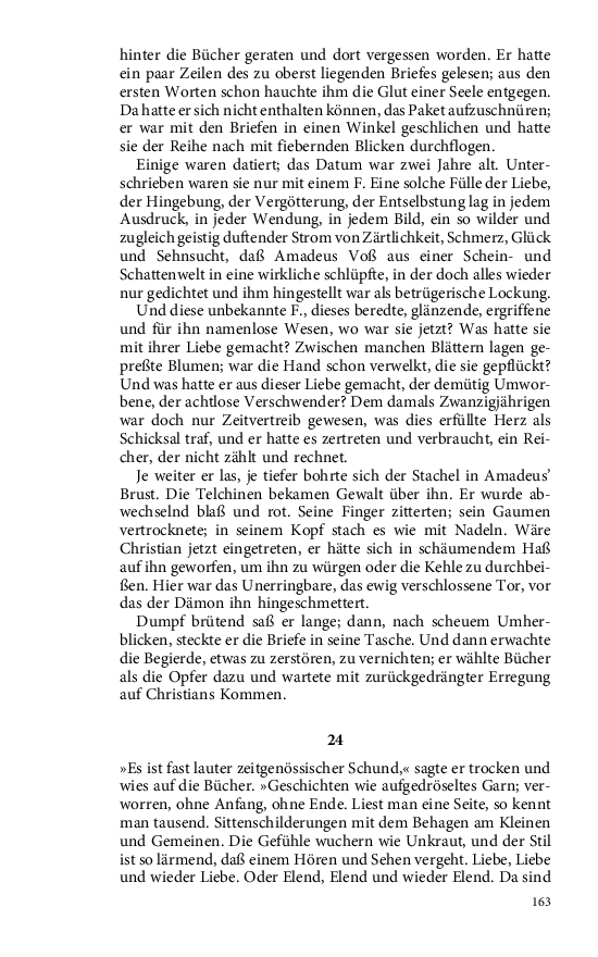 Seite 163
