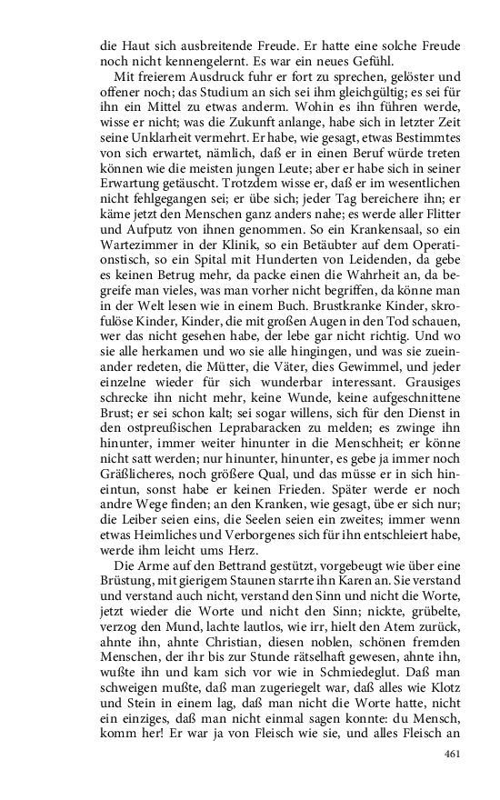 Seite 461