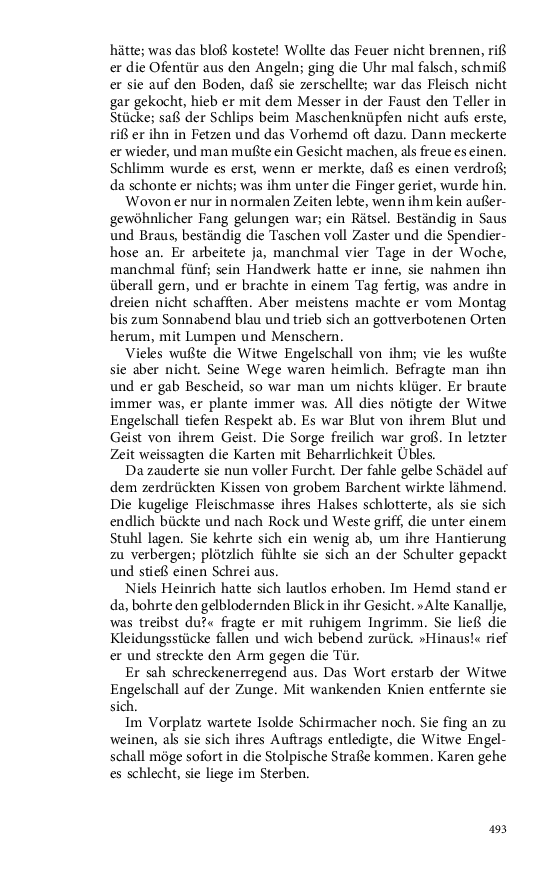 Seite 493