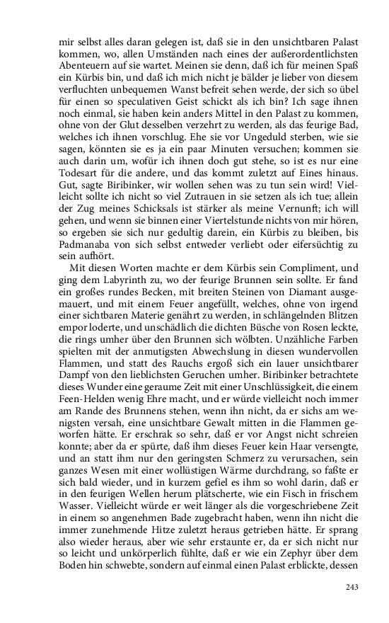 Seite 243