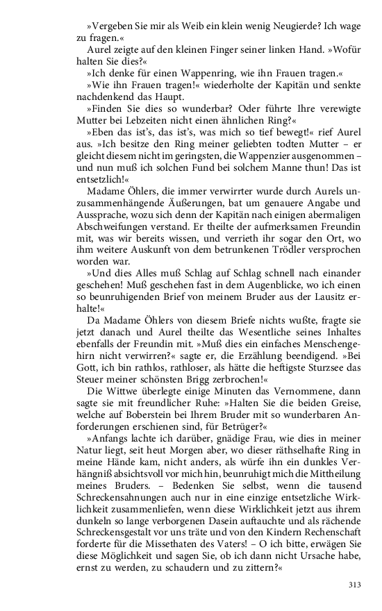 Seite 313