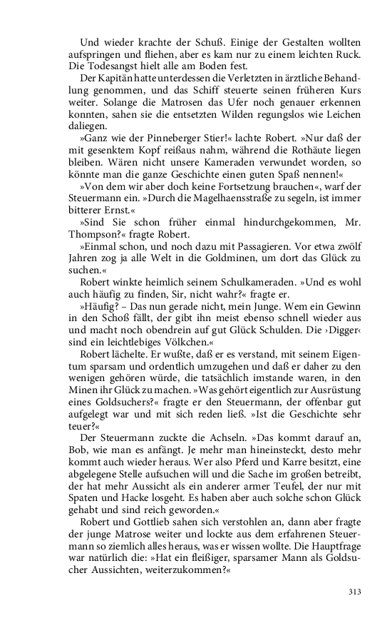 Seite 313