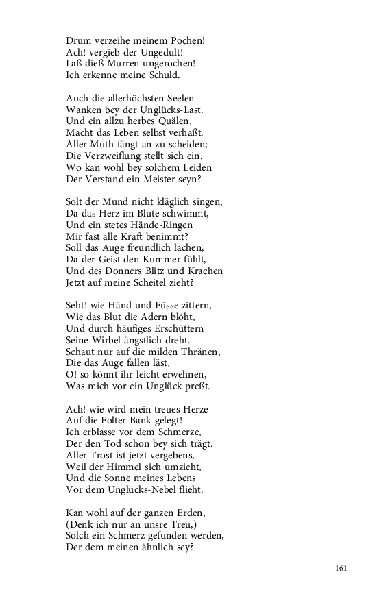 Seite 161