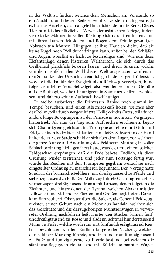 Seite 243
