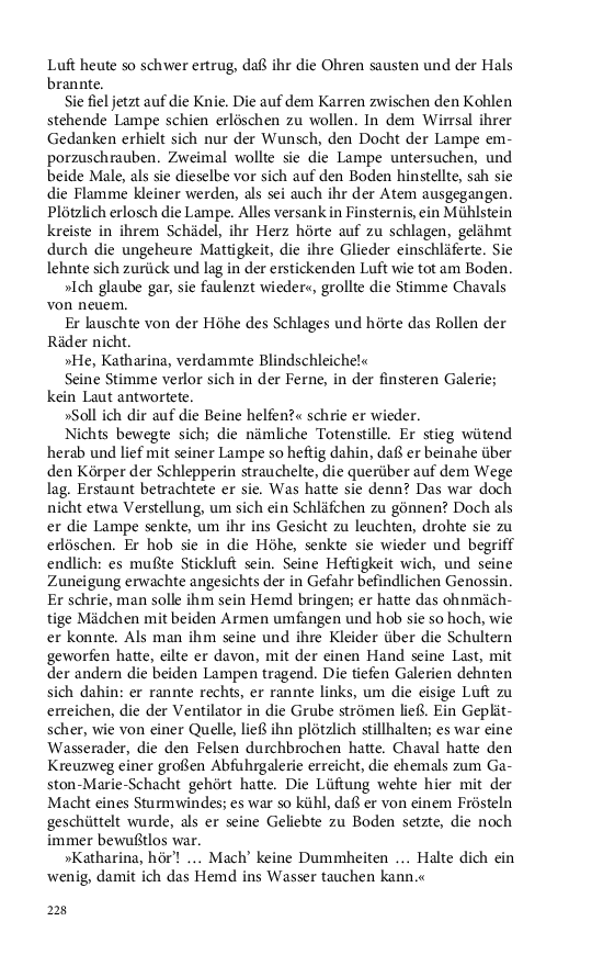 Seite 228
