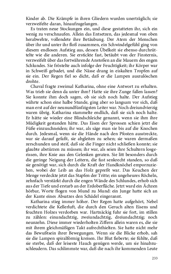 Seite 233