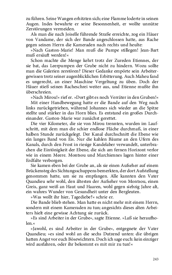 Seite 243