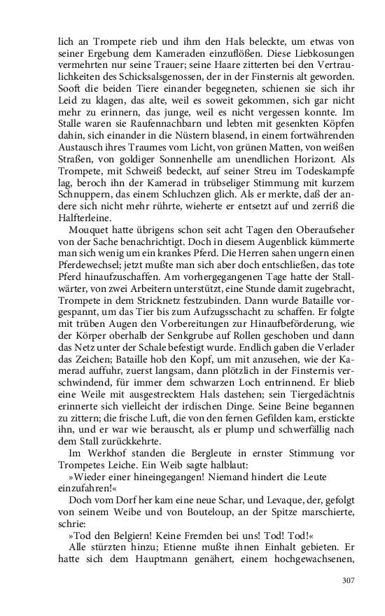 Seite 307