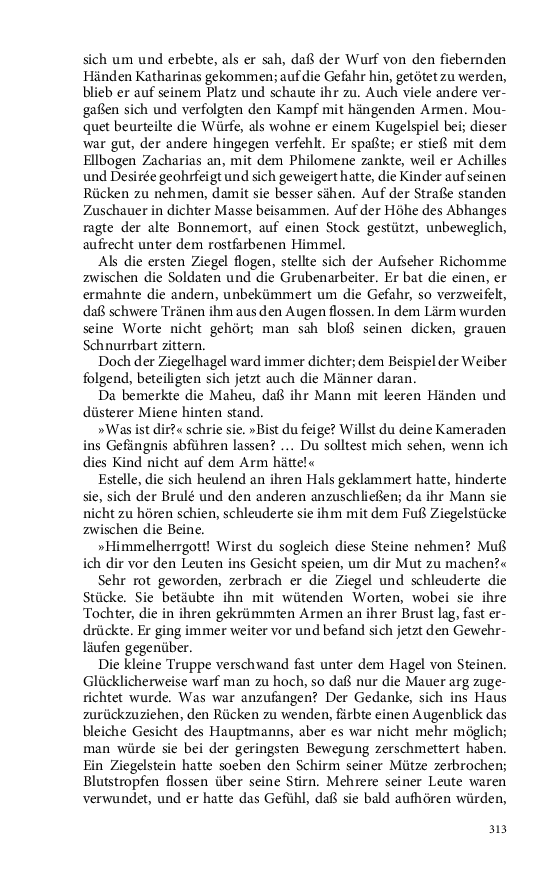 Seite 313