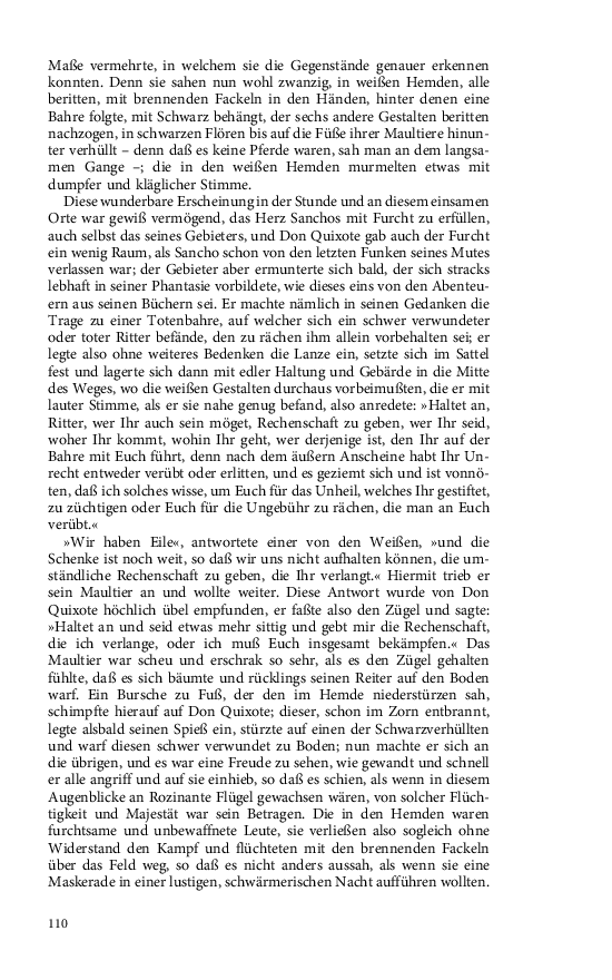 Seite 110