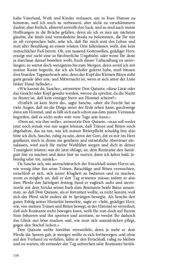 Seite 116