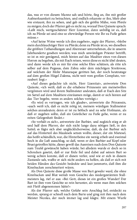 Seite 207