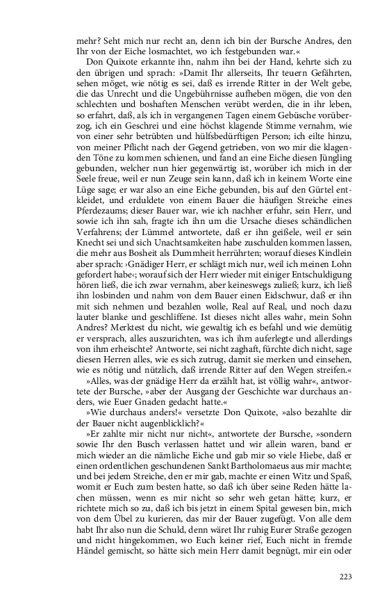 Seite 223