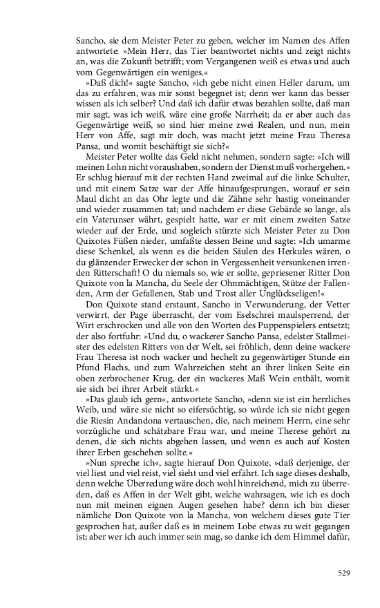 Seite 529
