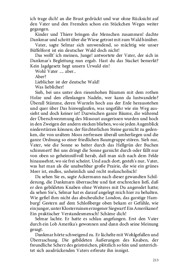 Seite 213