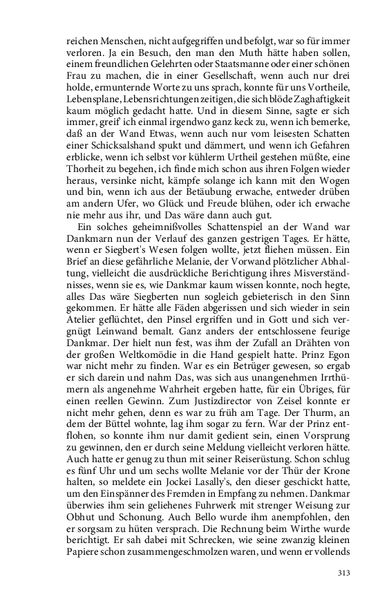 Seite 313