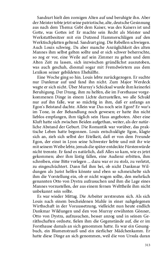 Seite 313