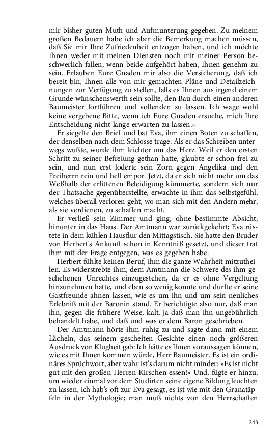 Seite 243