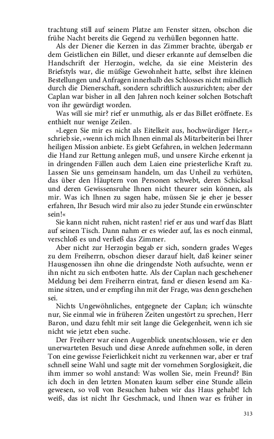 Seite 313