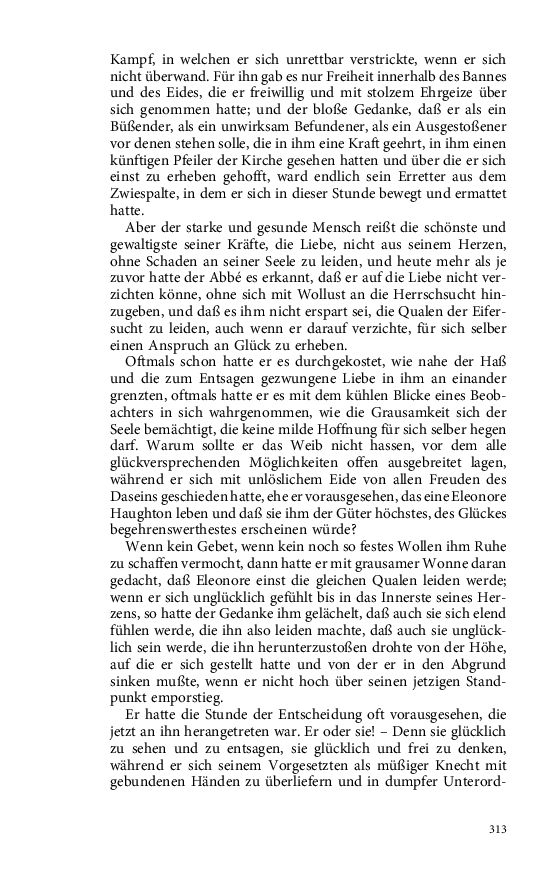 Seite 313