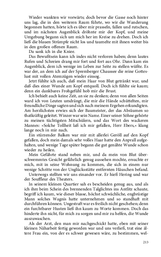 Seite 213