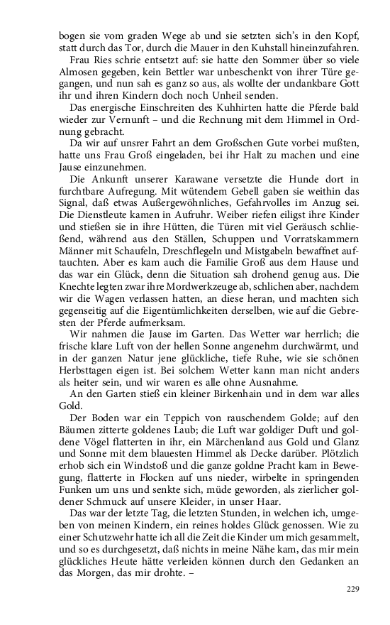 Seite 229