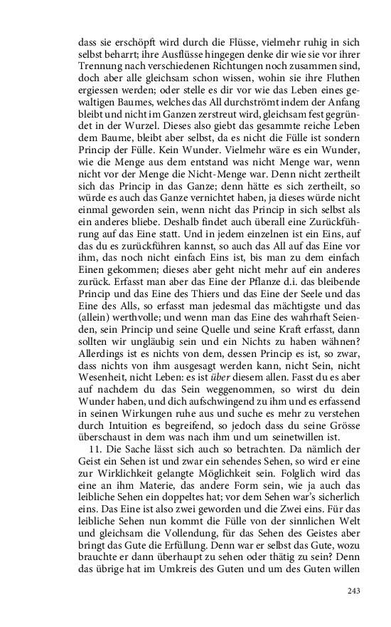 Seite 243