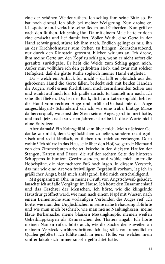 Seite 43