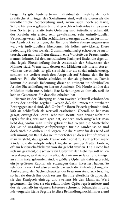 Seite 388