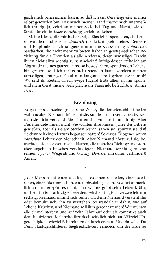 Seite 173