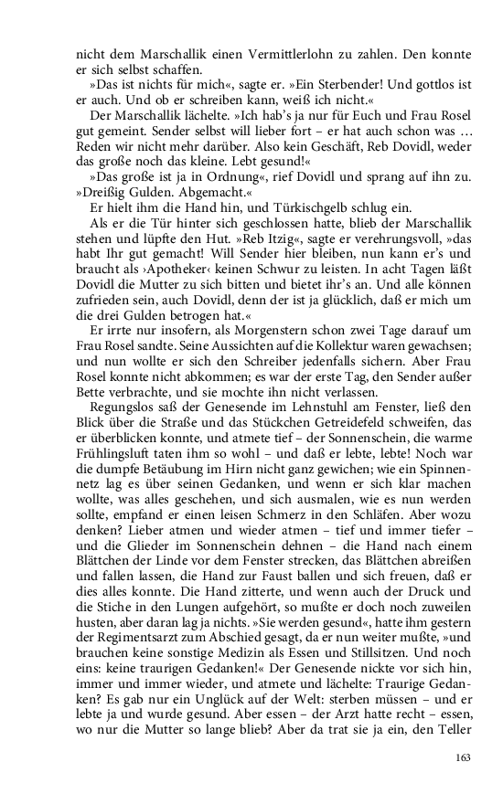 Seite 163