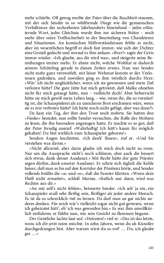 Seite 243