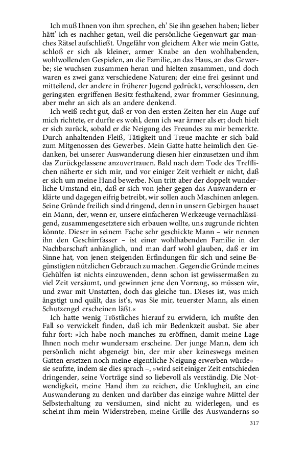 Seite 317