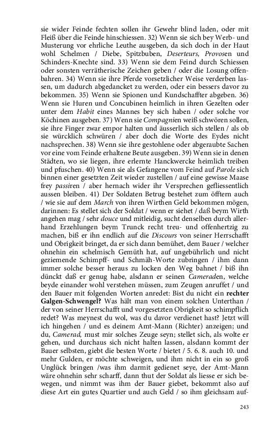 Seite 243