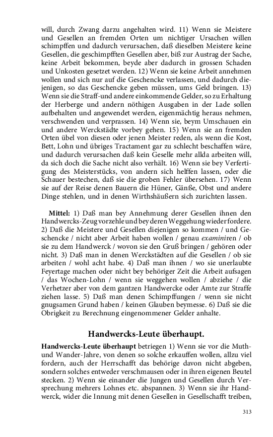 Seite 313
