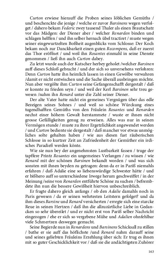 Seite 163