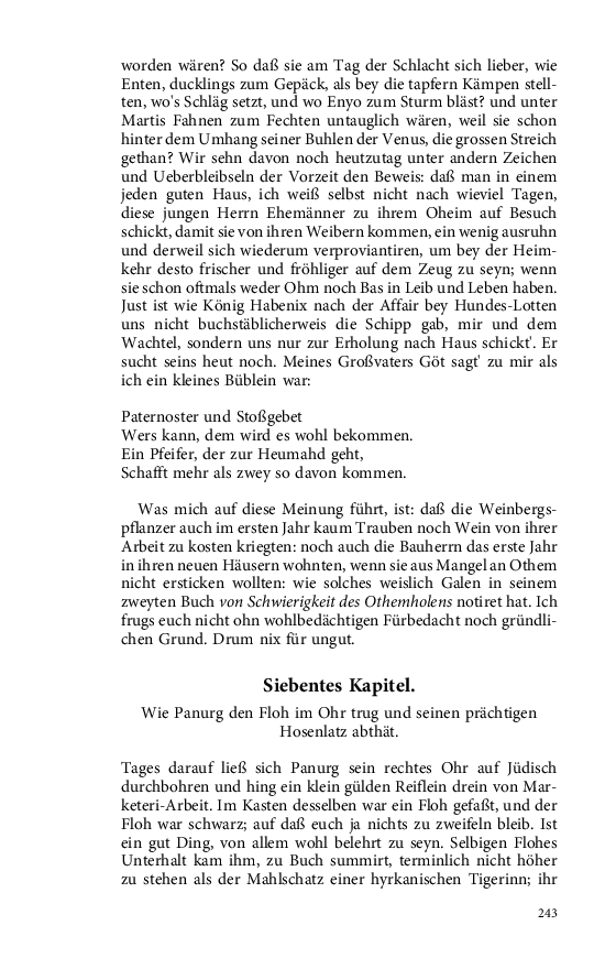 Seite 243