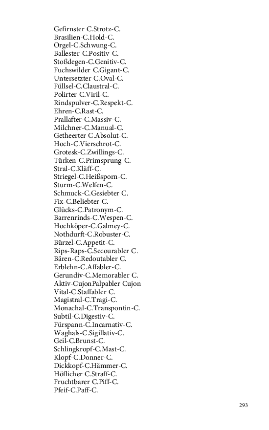 Seite 293