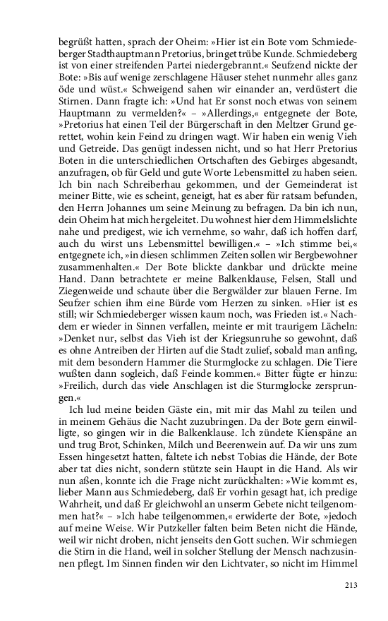 Seite 213