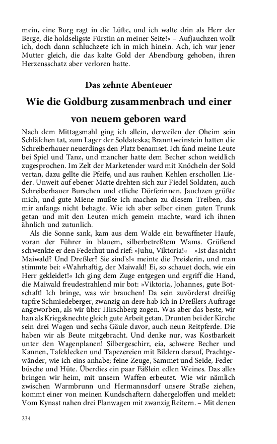 Seite 234