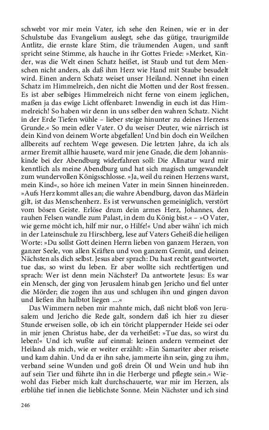 Seite 246