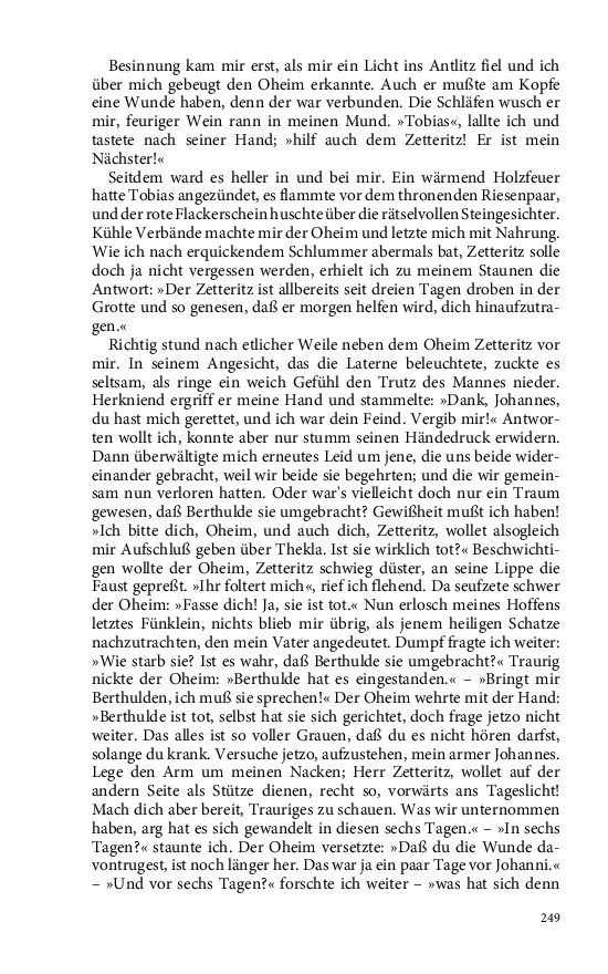 Seite 249