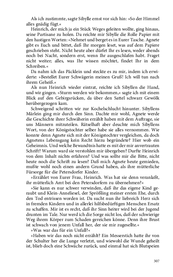 Seite 307