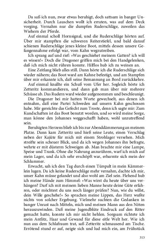 Seite 313